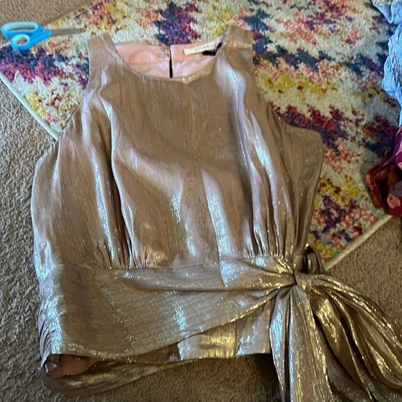 MILLY Women's Metallic Lurex Silk blend Chiffon Lauren Top pink waist tie SZ 6 - Picture 11 of 14